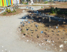 Markings (The Impossibility of Describing Place v.1), 2016